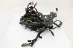 13-17 Harley Dyna Street Fat Bob Low Rider Wide Glide Main Wiring Harness