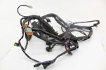 2006 Harley Davidson Heritage Flsti EFI Main Engine Wiring Harness