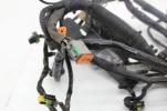 2006 Harley Davidson Heritage Flsti EFI Main Engine Wiring Harness