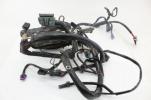 2006 Harley Davidson Heritage Flsti EFI Main Engine Wiring Harness