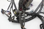 2006 Harley Davidson Heritage Flsti EFI Main Engine Wiring Harness