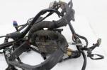 2006 Harley Davidson Heritage Flsti EFI Main Engine Wiring Harness