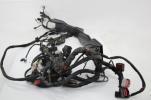 2015 Harley Davidson Freewheeler Main Engine Wiring Harness