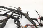 2000 Harley Davidson Electra Glide  Main Engine Wiring Harness