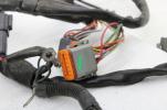 2000 Harley Davidson Electra Glide  Main Engine Wiring Harness