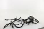 2004 Harley Davidson Heritage Flstc Main Engine Wiring Harness