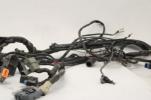 02-03 Harley Davidson Touring Road King Glide Electra EFI Wiring Harness