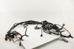 02-03 Harley Davidson Touring Road King Glide Electra EFI Wiring Harness