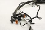 02-03 Harley Davidson Touring Road King Glide Electra EFI Wiring Harness