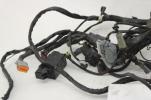 2006 06  Harley Davidson Electra Street Road Glide Main Wiring Harness