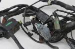 2006 06  Harley Davidson Electra Street Road Glide Main Wiring Harness