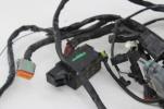 2006 06  Harley Davidson Electra Street Road Glide Main Wiring Harness