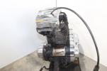 04-06 Harley-Davidson Sportster 1200  XL1200C Engine Motor